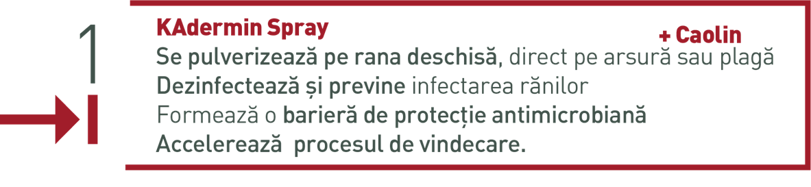 Instructiuni Kadermin Spray